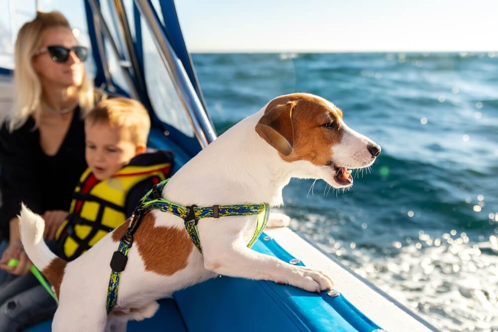 Family on a boat with the family dog looking over the side at the water - best boat insurance.